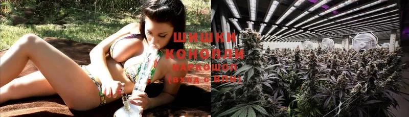 цены   Лесной  Конопля SATIVA & INDICA 